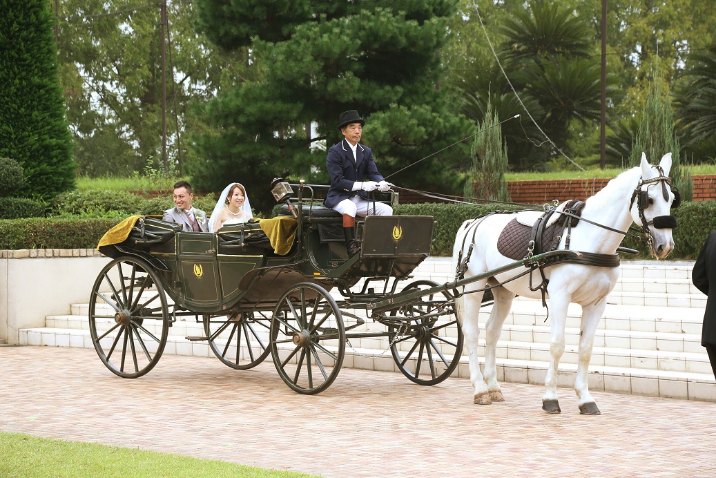 ロイヤルウエディングのように馬車で